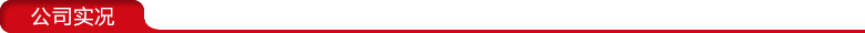 公司實況.png